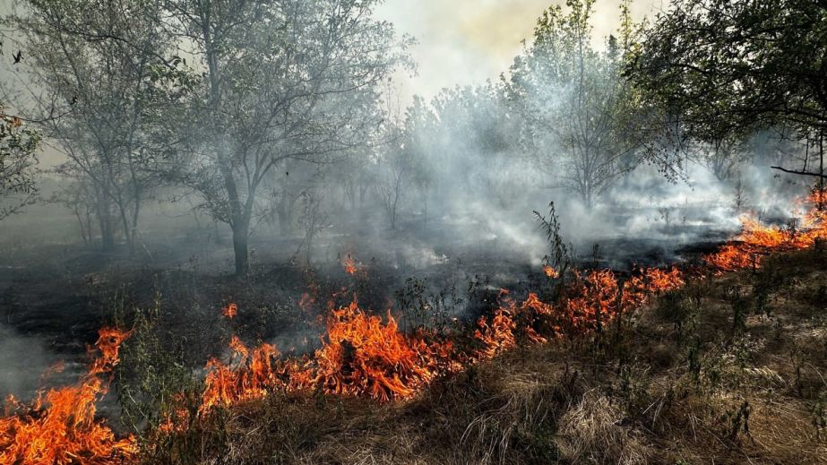 Хортиця палає: рятувальники Запоріжжя борються з пожежею на острові