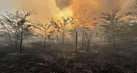 Пожар на Хортице ухудшил качество воздуха в Запорожье