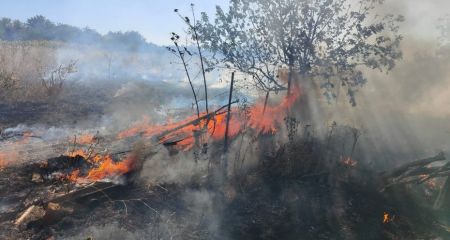 Масштабні пожежі на Запоріжжі: вигоріли майже 5 гектарів екосистем