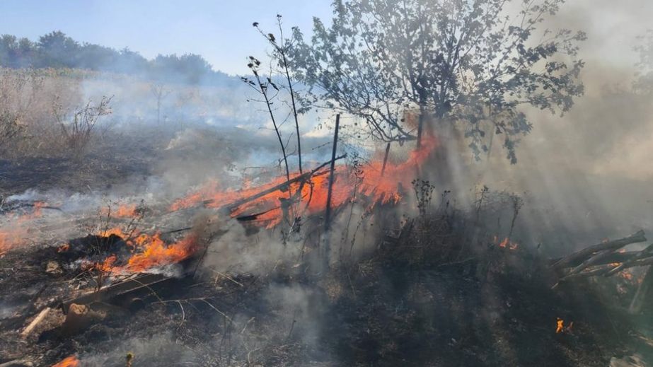 Масштабні пожежі на Запоріжжі: вигоріли майже 5 гектарів екосистем