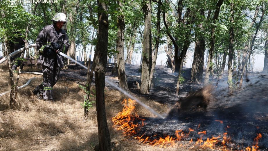 На Хортиці в Запоріжжі вигоріли 40 гектарів: пожежу локалізували