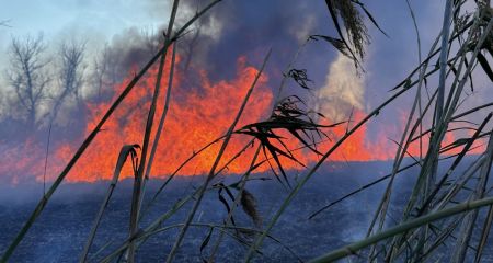 Горят 2,5 гектара: в Запорожье пытаются остановить мощный пожар