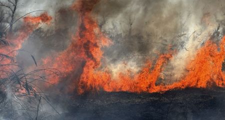 У Запоріжжі ліквідували пожежу, що охопила понад чотири гектари
