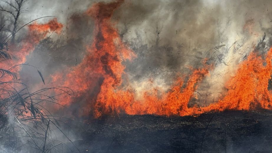 У Запоріжжі ліквідували пожежу, що охопила понад чотири гектари