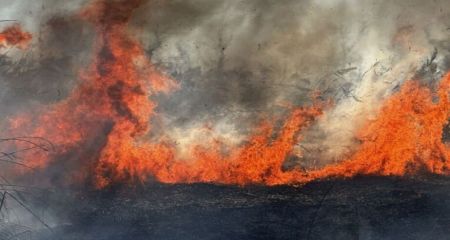 Пожар на Хортице: запорожцам советуют избегать пребывания в зонах задымления