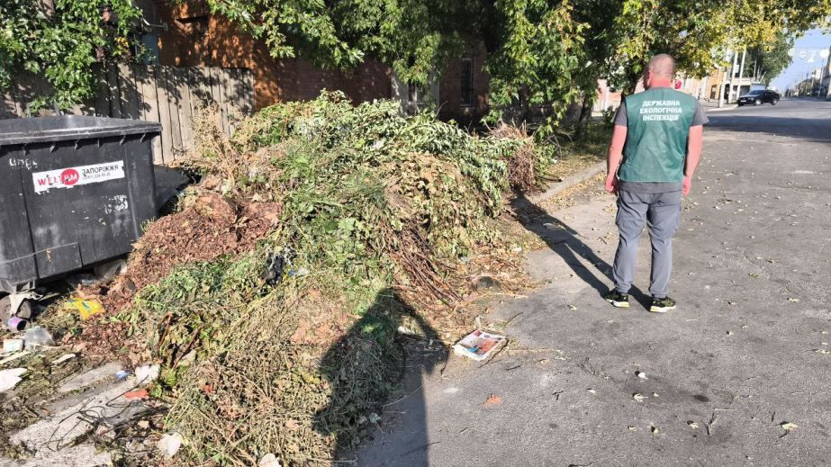 Сміттєва гора біля баків: у Запоріжжі виявили стихійне звалище