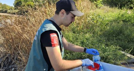 Мор рыбы в Запорожье: экологи фиксируют сильное загрязнение водоема