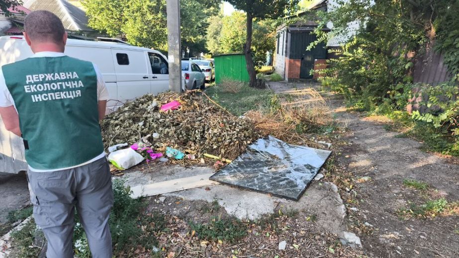 Старые подушки и одеяла: экологи наткнулись на мусорную свалку в Запорожье