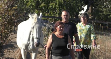 Психологу ассистируют лошади: как на Запорожье возвращают равновесие защитникам