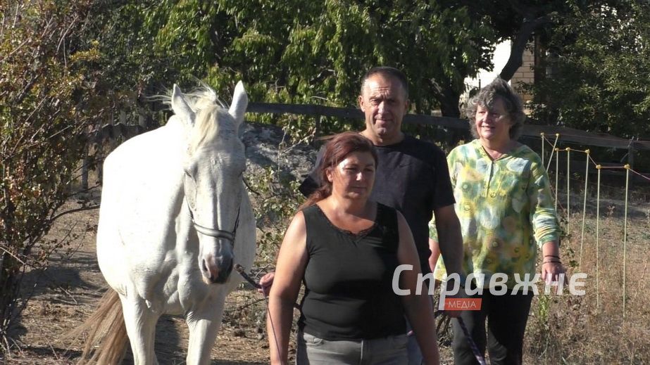 Психологу асистують коні: як на Запоріжжі повертають рівновагу захисникам