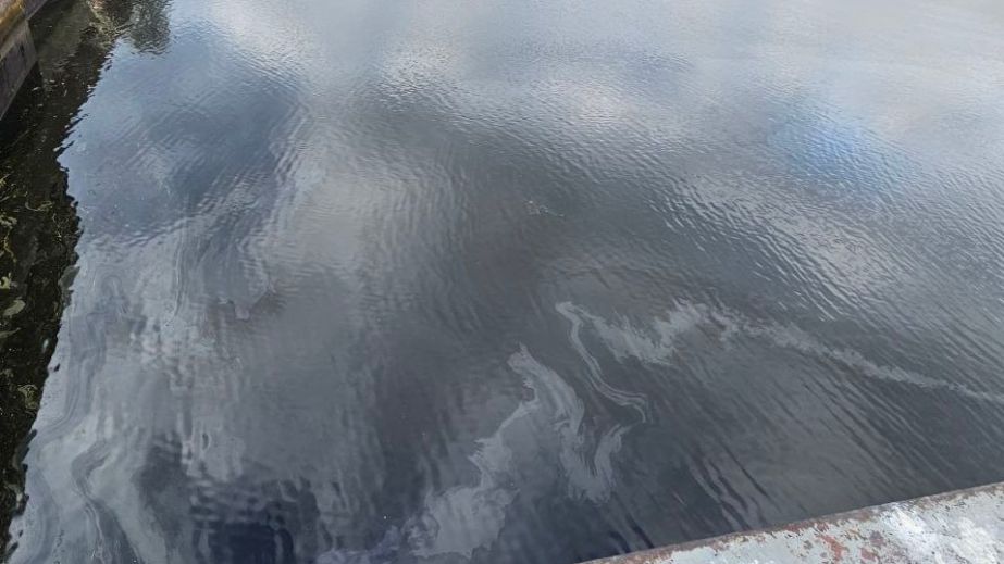 Запорожские экологи проверили состояние воды в Днепре после атаки РФ – результаты