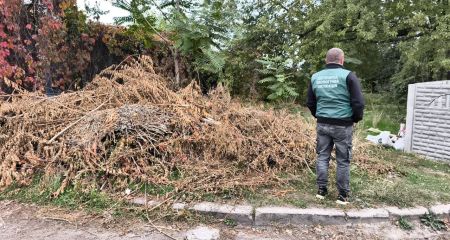 Запорожские экологи обнаружили стихийную свалку возле жилого дома
