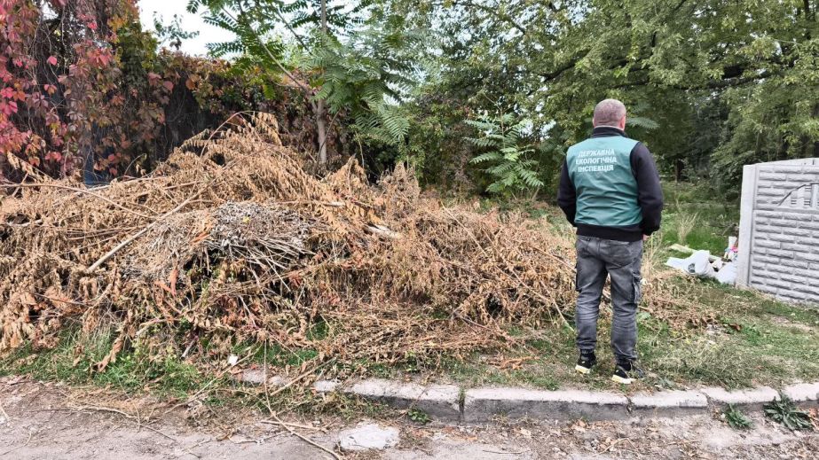 Запорізькі екологи виявили стихійне звалище біля житлового будинку