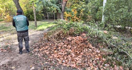 Біля житлових будинків в Запоріжжі утворився смітник на 12 "квадратів”