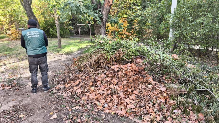 Возле жилых домов в Запорожье образовалась свалка на 12 "квадратов"