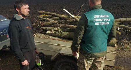 П’ять дерев оцінили у 19 тис. грн: під Запоріжжям викрили "лісоруба"