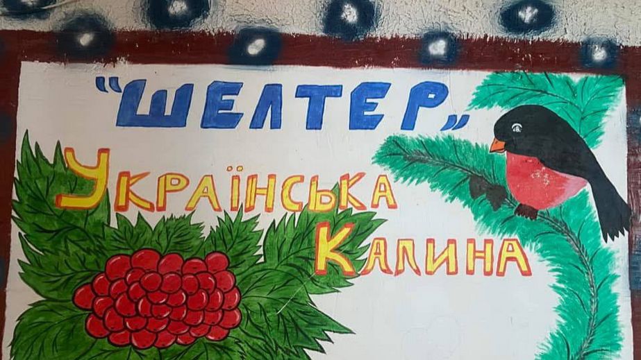 От одежды до игрушек: таможенники снабжают шелтер в Запорожье