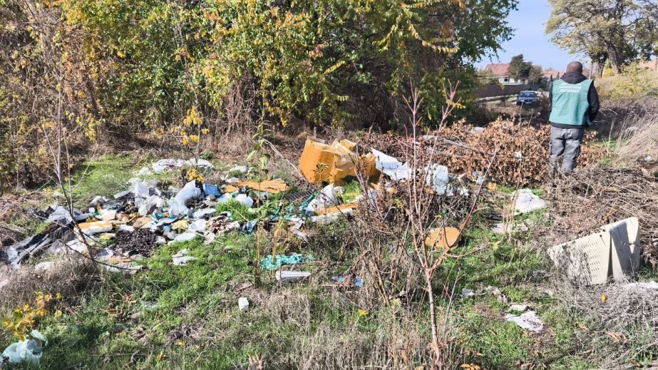 Екоінспектори виявили в Запоріжжі смітник площею майже 100 м²