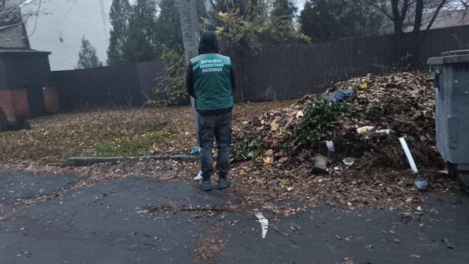 Бытовой хлам и сухостой: экологи обнаружили свалку в центре Запорожья