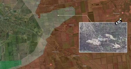 Окупанти розстріляли п'ятьох полонених українських бійців на Запоріжжі, – DeepState