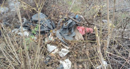 Жалоба запорожца вывела экологов на очередную свалку в центре