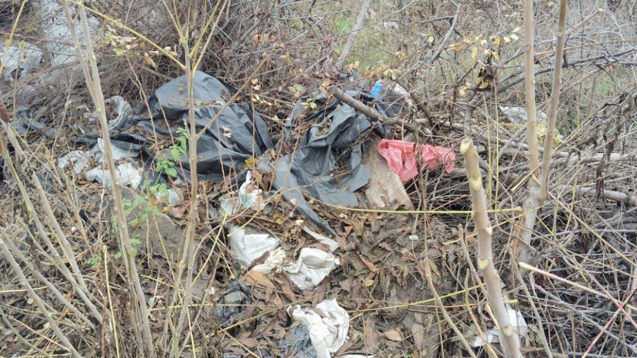 Жалоба запорожца вывела экологов на очередную свалку в центре