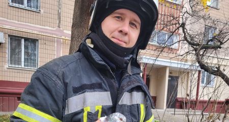 Запорізькі рятувальники звільнили голуба з пастки на дереві