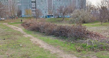 У Запоріжжі засмітили 26 "квадратів” прибудинкової території – чим саме
