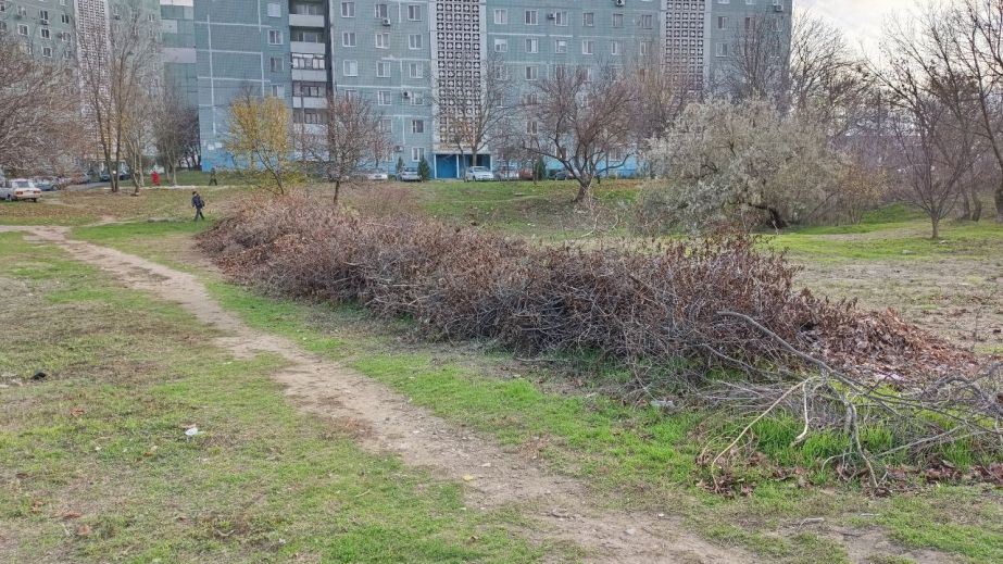 У Запоріжжі засмітили 26 "квадратів” прибудинкової території – чим саме