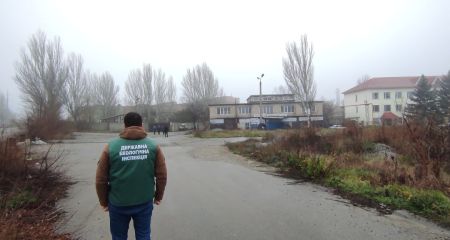 Підприємців у Запоріжжі перевіряють на можливе забруднення повітря