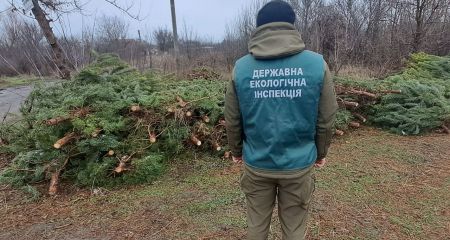 Экологи посетили елочные рынки Запорожья – что проверяли