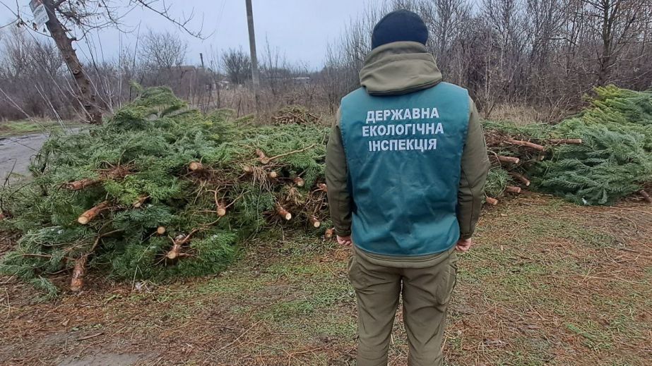 Экологи посетили елочные рынки Запорожья – что проверяли