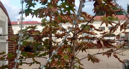 Партизани навідалися до ворожих складів для Запорізького фронту &ndash; кадри