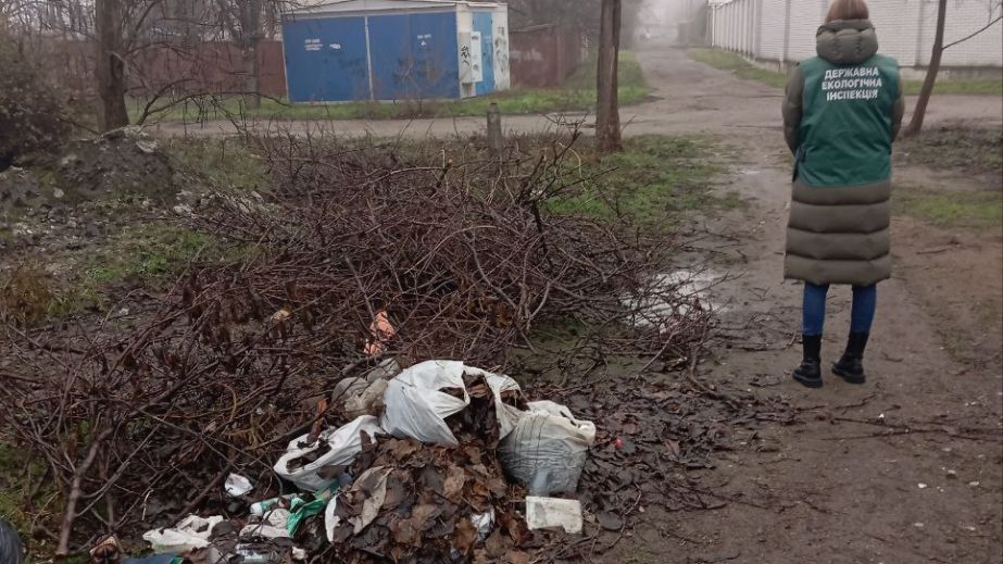 Компактний смітник біля будинків виявили екологи в Запоріжжі
