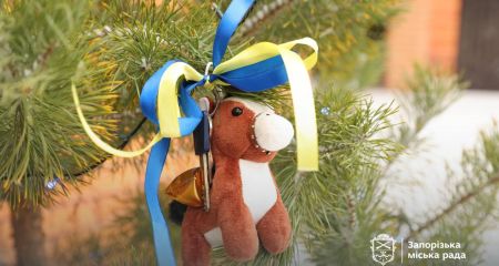 Будинок на 200 "квадратів" подарували багатодітній родині у Запоріжжі &ndash; кадри