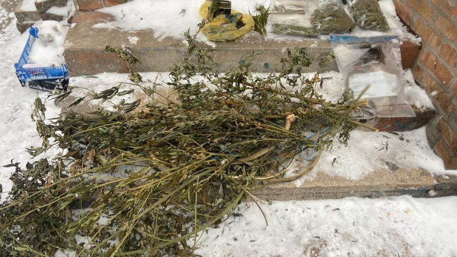Наркоферма в частном секторе: крупную партию наркотиков изъяли у запорожца