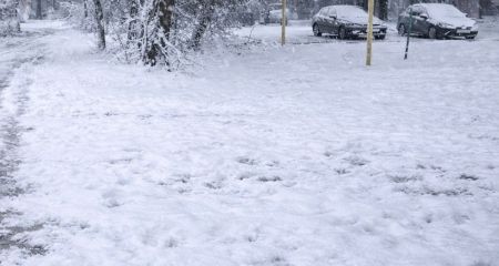 Еще одну захламленную локацию убрали в Запорожье