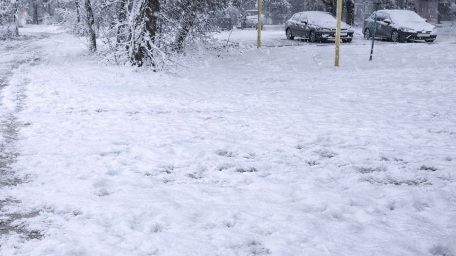 Ще одну захаращену локацію прибрали в Запоріжжі