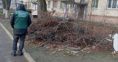 Кучи листьев и веток: запорожцы пожаловались на мусор во дворах