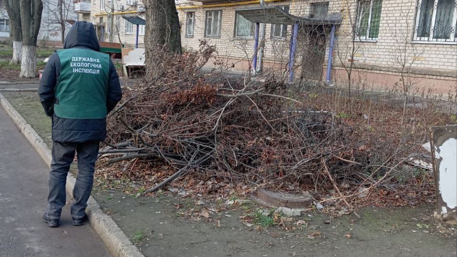 Купи листя та гілля: запоріжці поскаржилися на сміття у дворах