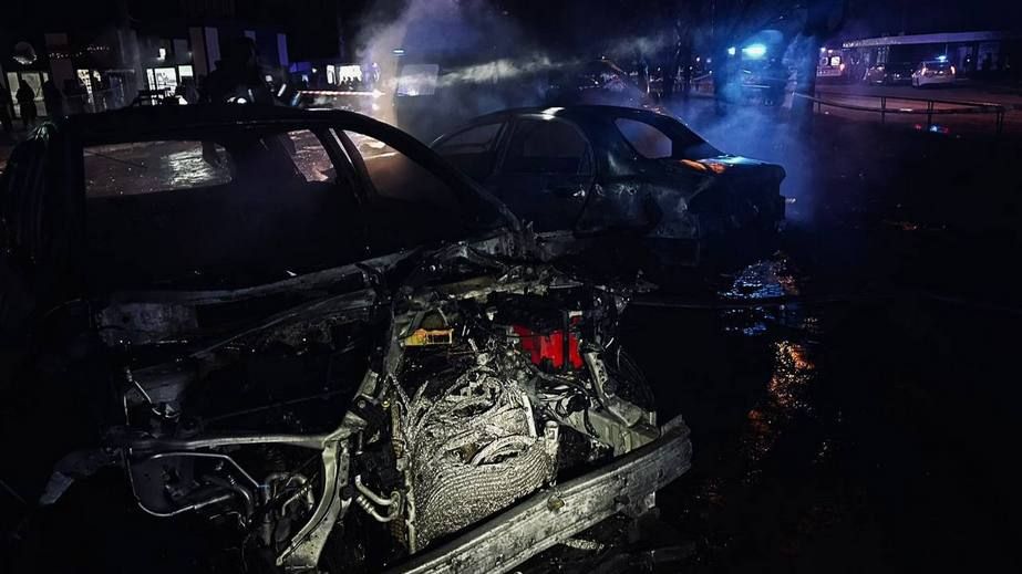 Шесть пожаров бушевали на Запорожье после обстрелов РФ: есть жертвы