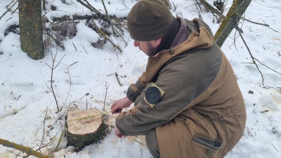 С бензопилой в посадке: под Запорожьем поймали "лесоруба"