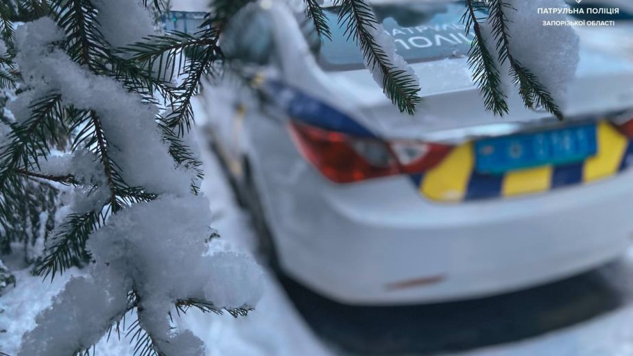 Майже пів сотні нетверезих водіїв зупинили у Запоріжжі