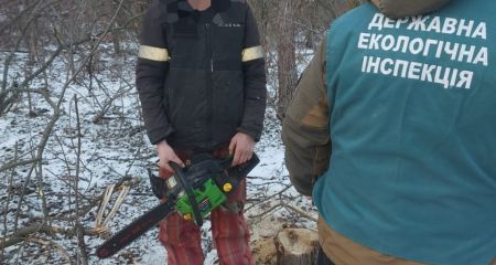Попався на вирубці дерев: ще одного порушника спіймали під Запоріжжям