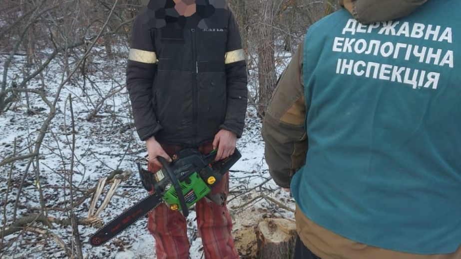 Попався на вирубці дерев: ще одного порушника спіймали під Запоріжжям