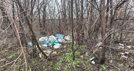 Запорізькі екологи вимагають ліквідувати смітник &ndash; де саме