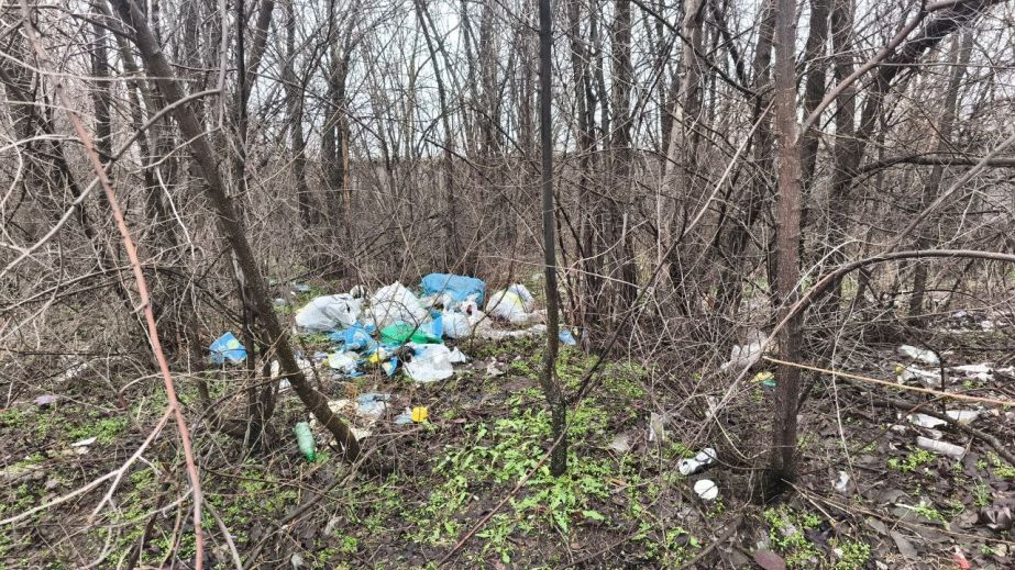 Запорожские экологи требуют ликвидировать свалку &ndash; где именно