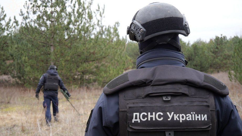 Запорожские саперы уничтожили взрывоопасные предметы