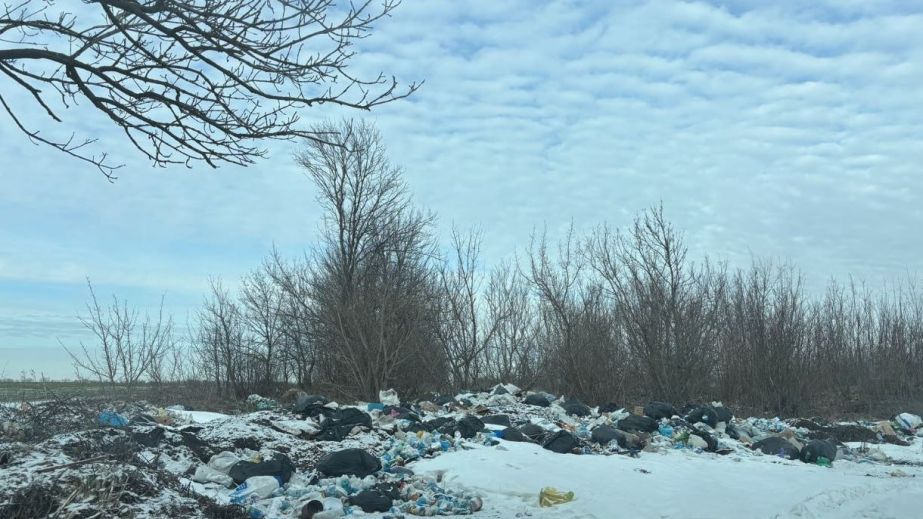Звалище на 100 "квадратів" утворили біля траси під Запоріжжям
