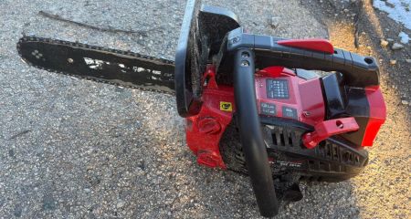 Спиляний під Запоріжжям клен екологи оцінили в тисячу гривень